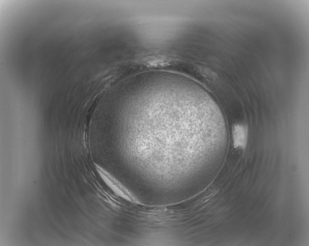 X0000065241444200602211159