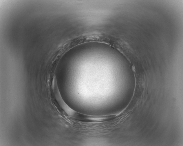 X0000065241445200602211159