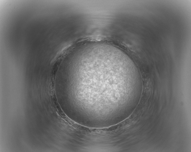 X0000065241446200602211159