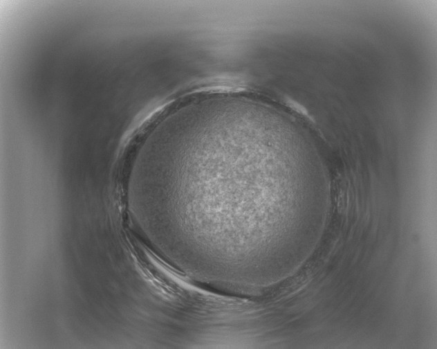 X0000065241448200602211159