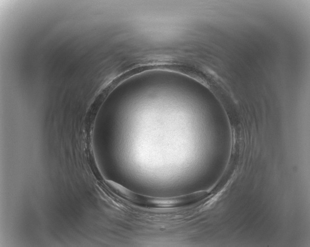 X0000065241449200602211159