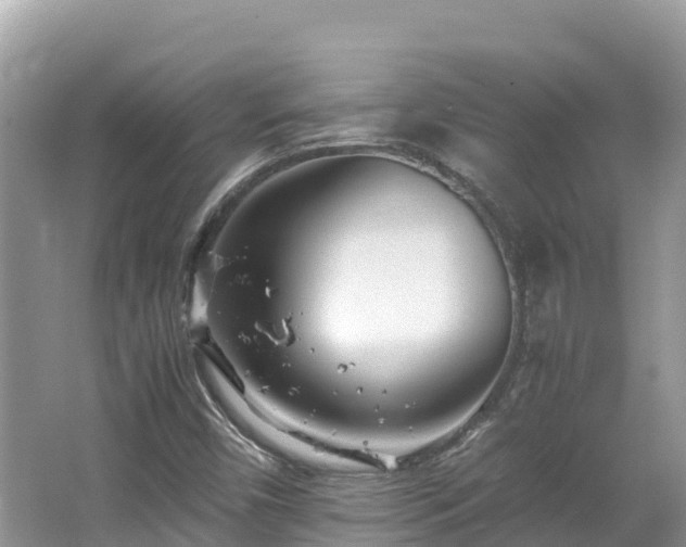 X0000065241450200602211159