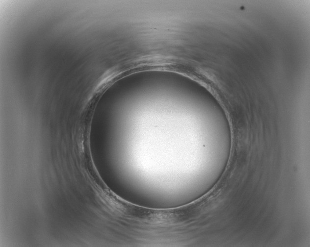 X0000065241451200602211159