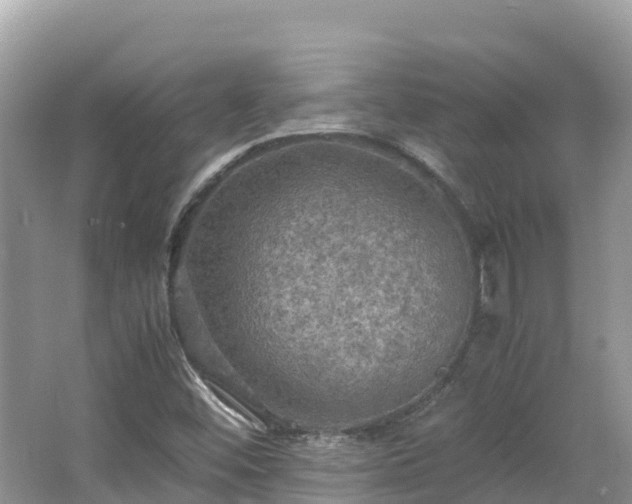 X0000065241452200602211159