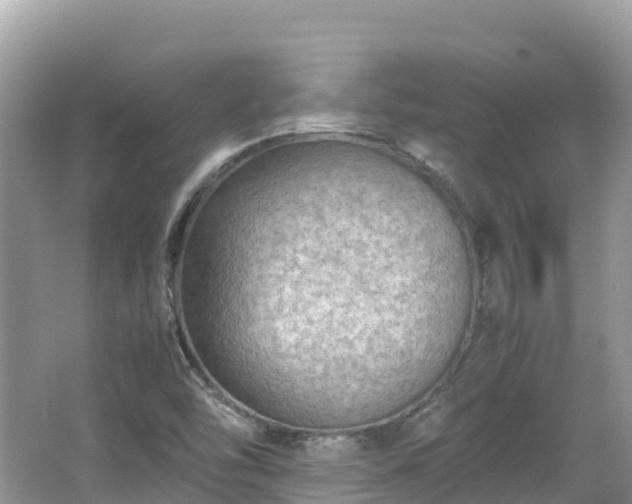 X0000065241454200602211159