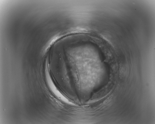 X0000065241455200602211159