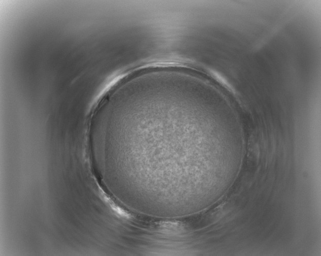 X0000065241456200602211159