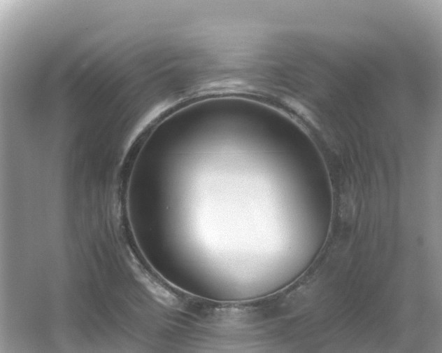 X0000065241458200602211159