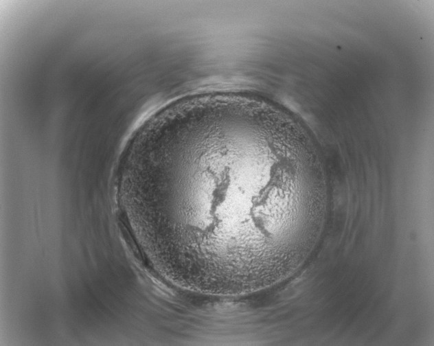 X0000065241459200602211159