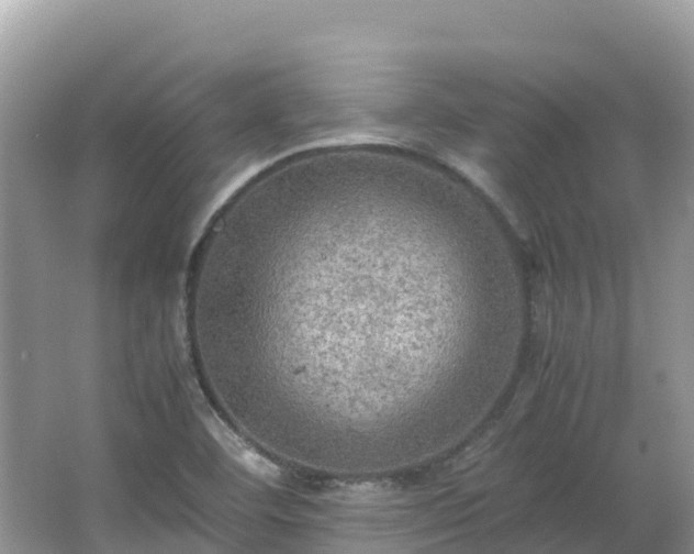 X0000065241460200602211159