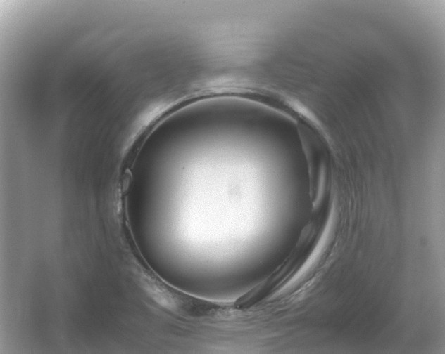 X0000065241461200602211159