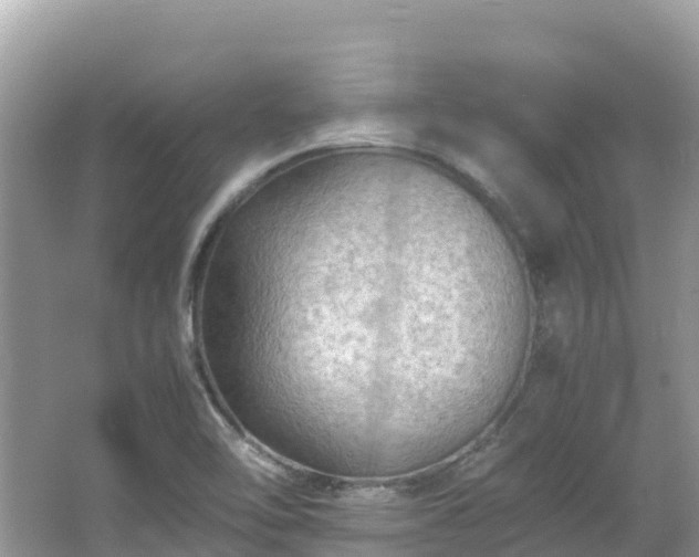 X0000065241462200602211159