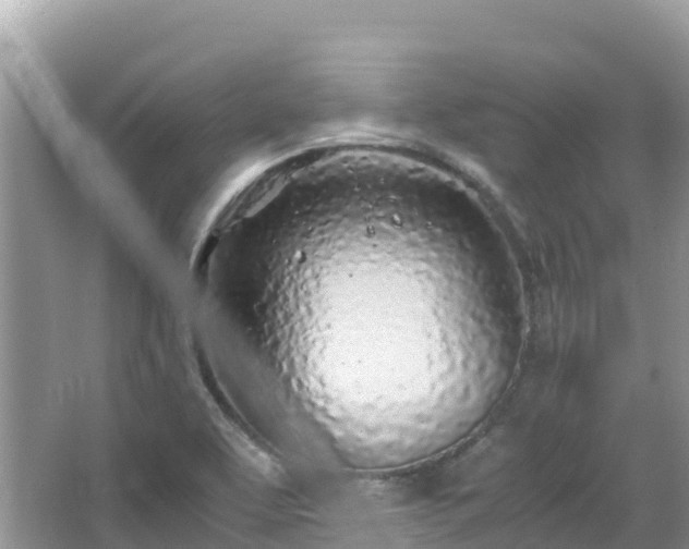 X0000065241463200602211159