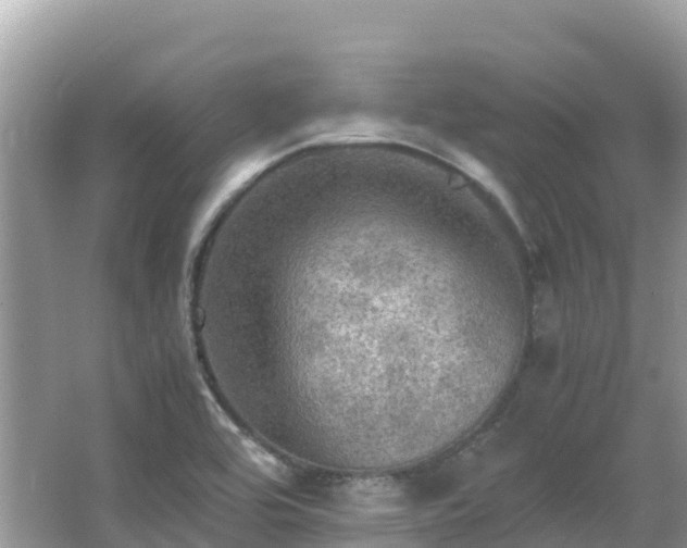 X0000065241464200602211159