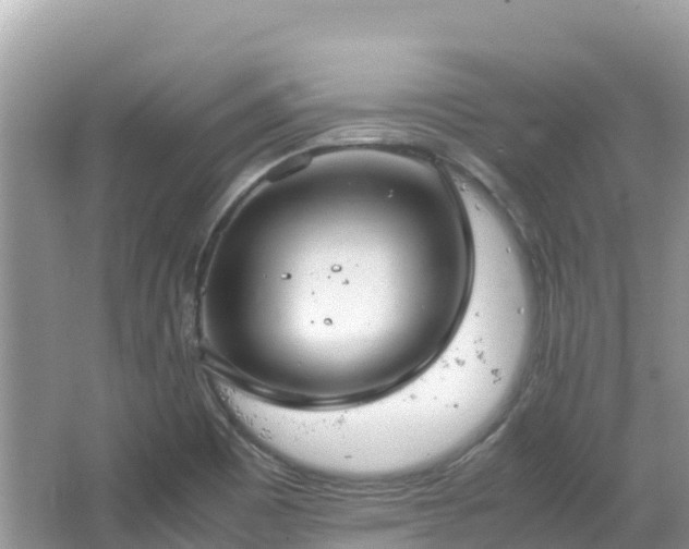 X0000065241465200602211159