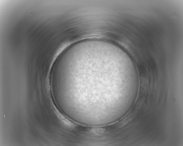 X0000065241466200602211159