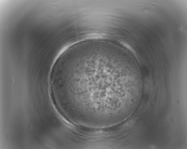 X0000065241467200602211159