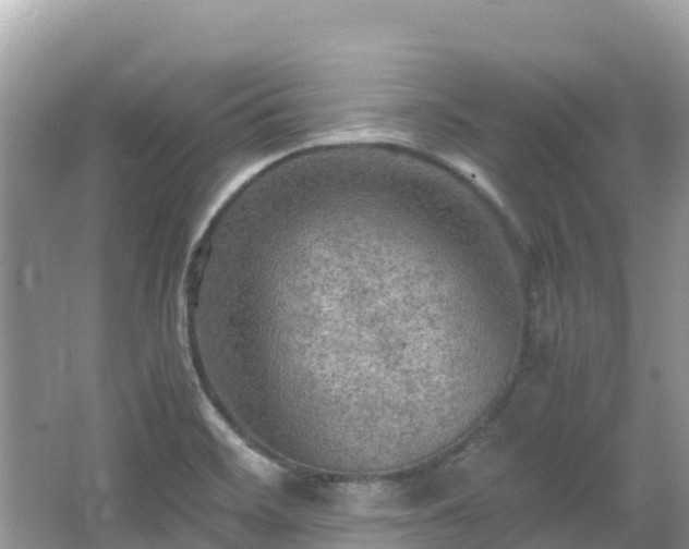 X0000065241468200602211159