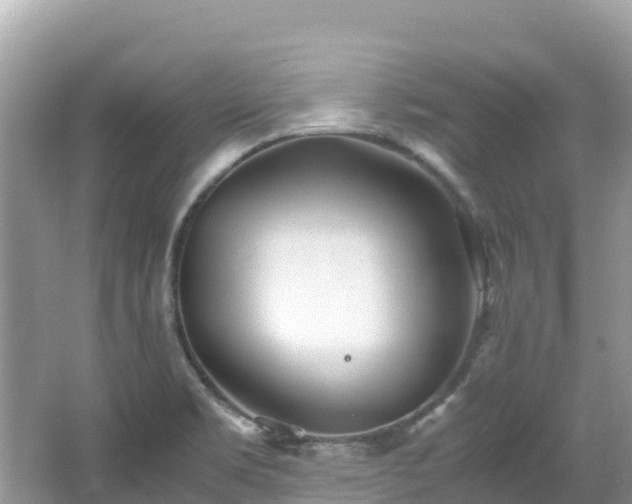 X0000065241469200602211159