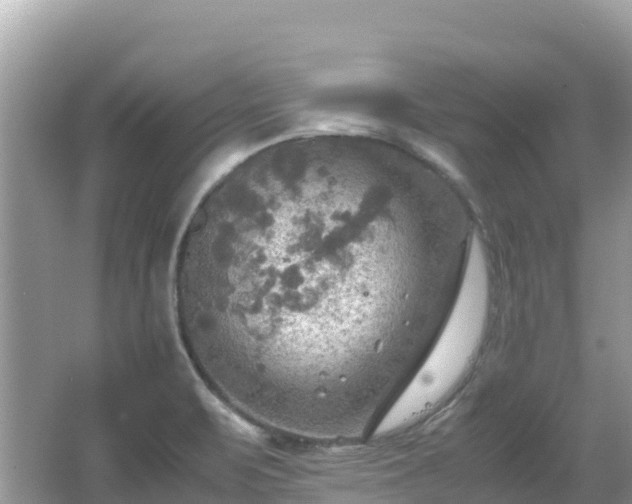 X0000065241471200602211159