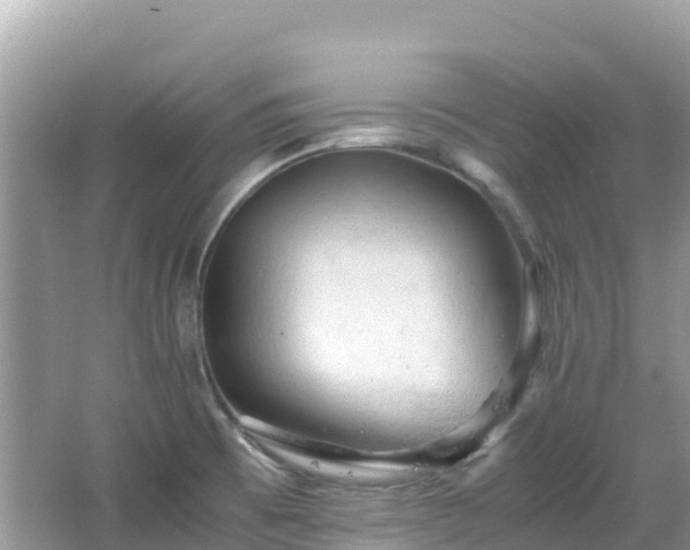 X0000065241473200602211159