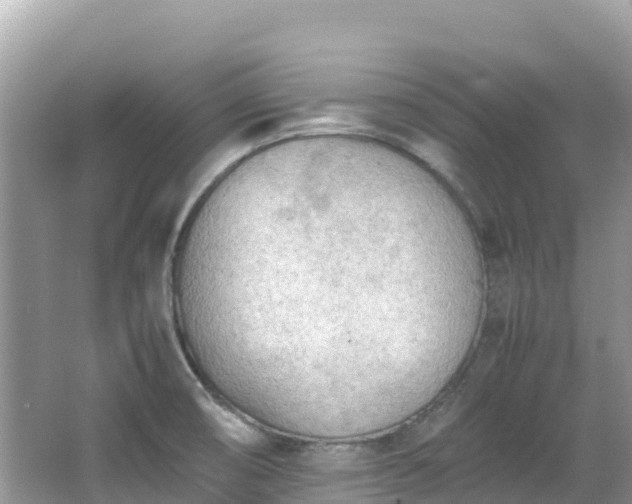 X0000065241474200602211159