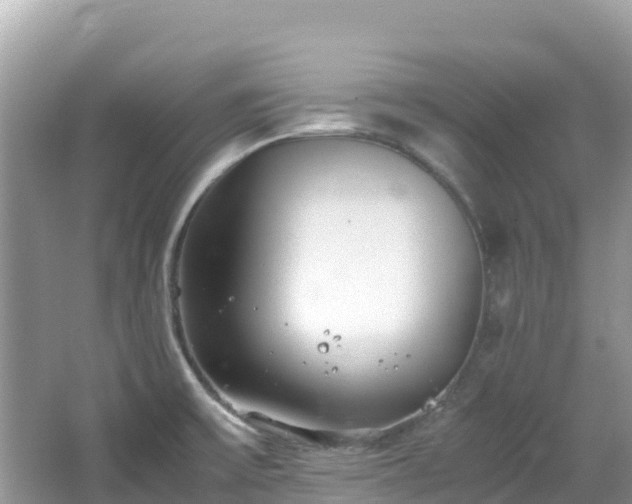 X0000065241475200602211159