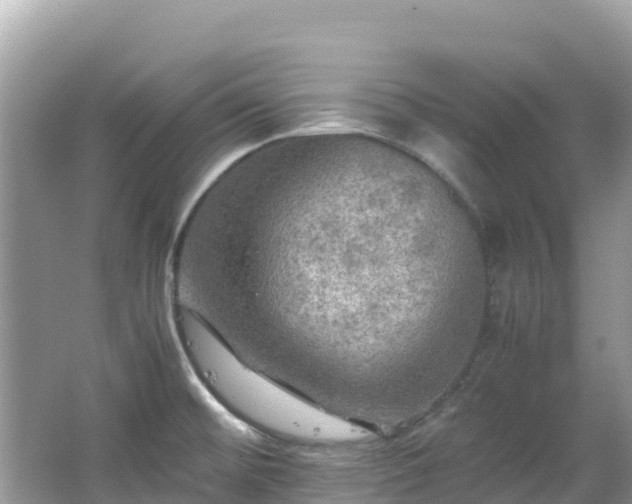 X0000065241476200602211159