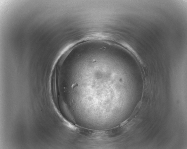 X0000065241477200602211159