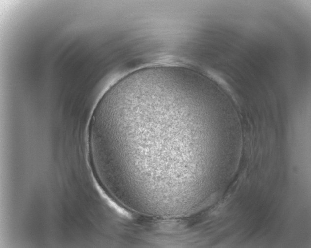 X0000065241479200602211159