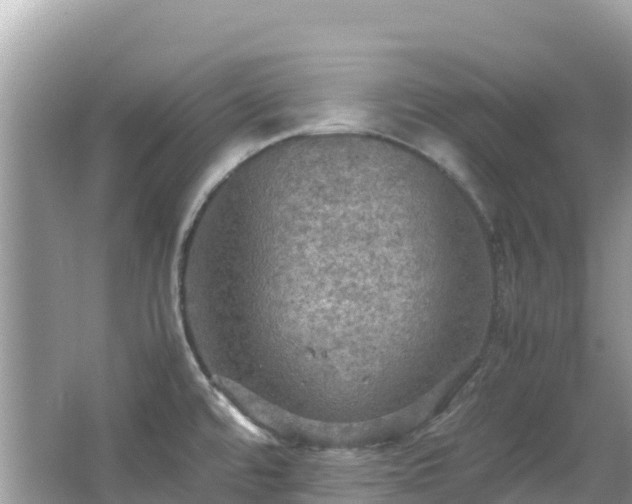 X0000065241480200602211159