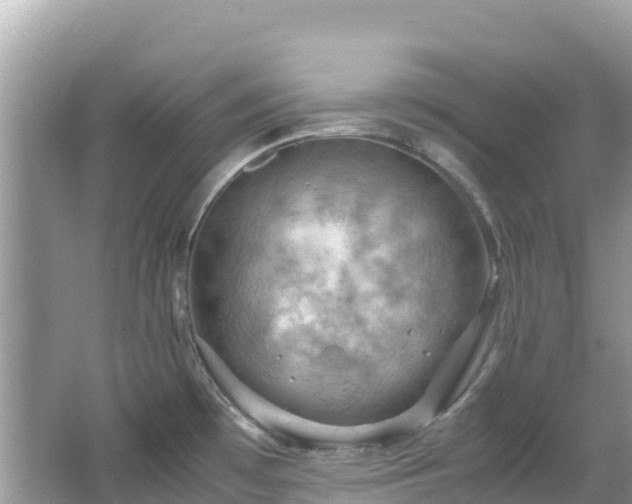 X0000065241481200602211159