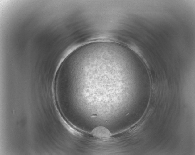 X0000065241482200602211159