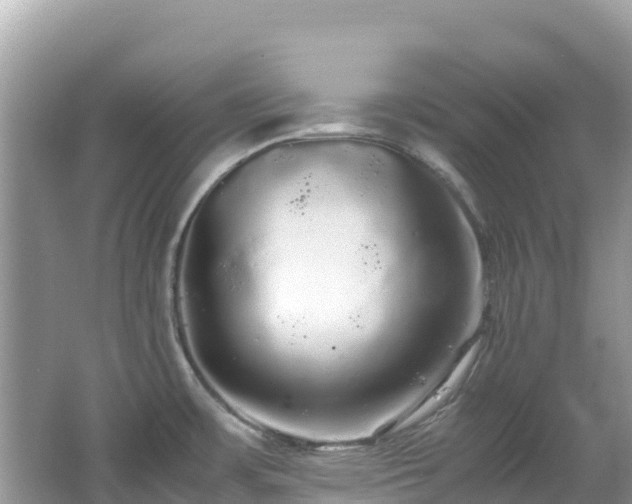 X0000065241483200602211159