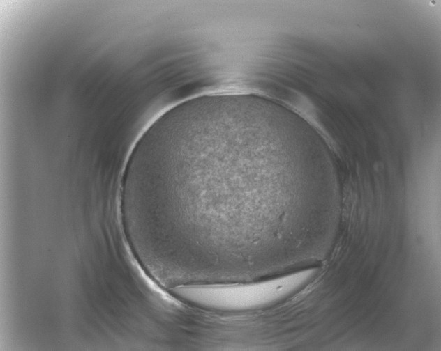 X0000065241484200602211159