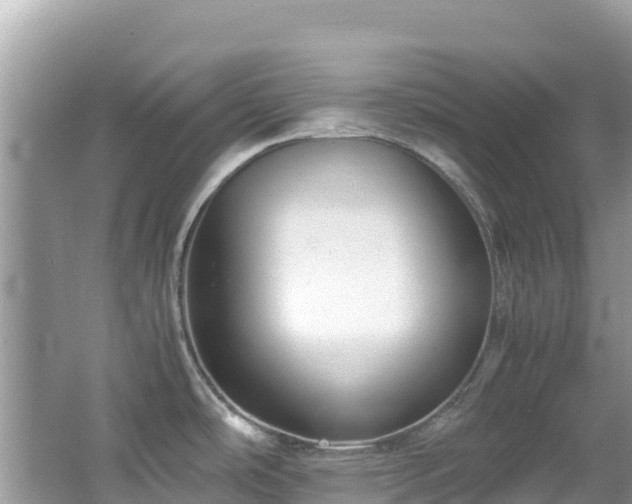 X0000065241486200602211159