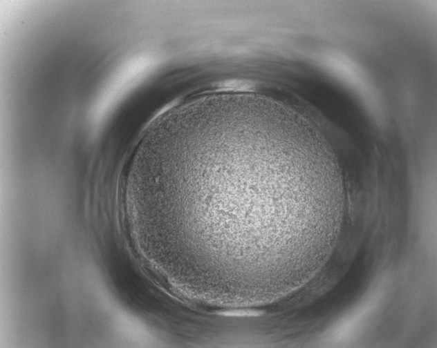 X0000065241487200602211159