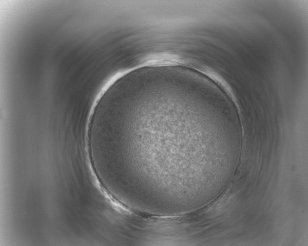 X0000065241488200602211159