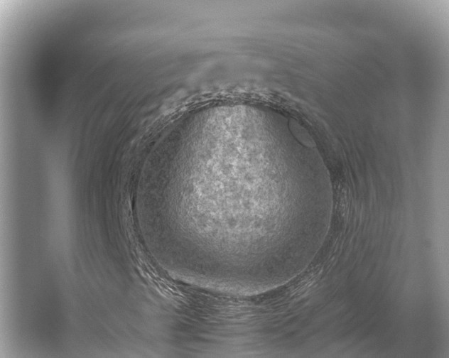 X0000065241489200602211158