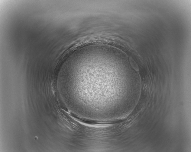 X0000065241490200602211158