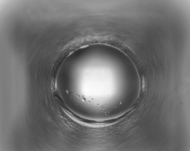 X0000065241492200602211158