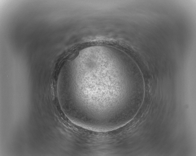 X0000065241493200602211158