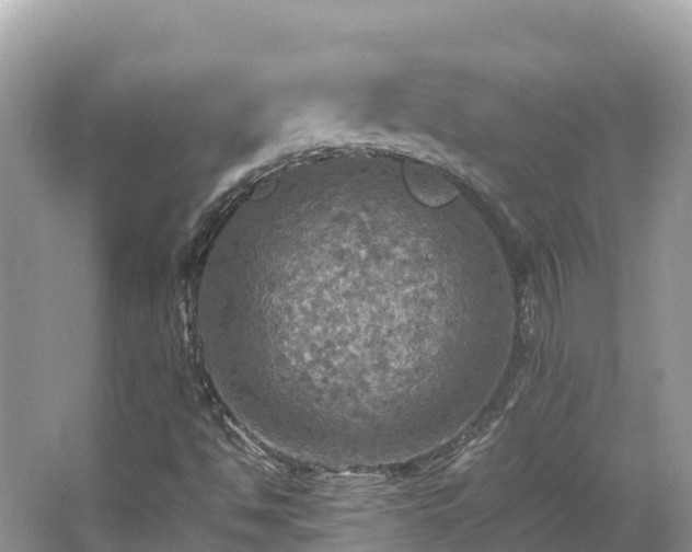 X0000065241494200602211158