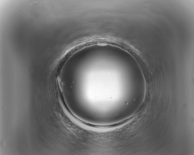 X0000065241496200602211158