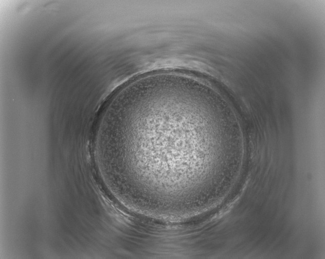 X0000065241497200602211158