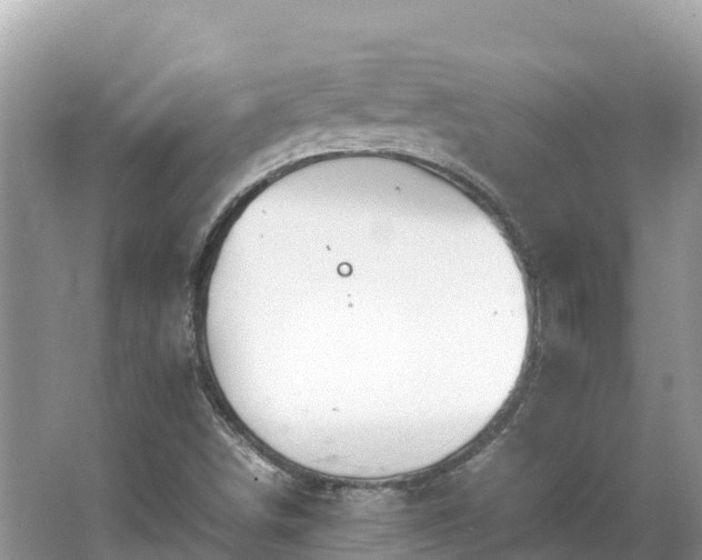 X0000065241498200602211158