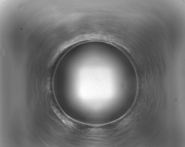 X0000065241499200602211158