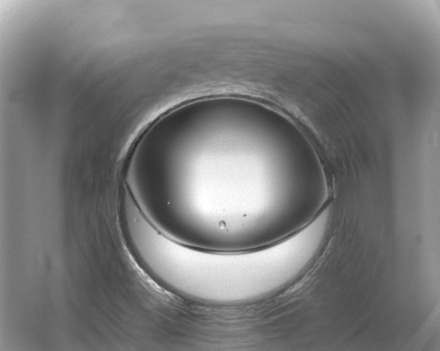 X0000065241500200602211158