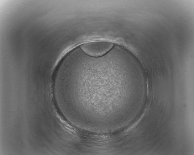 X0000065241501200602211158