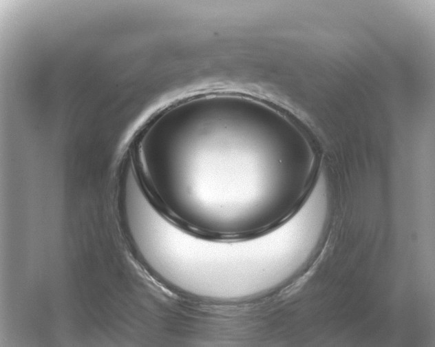 X0000065241502200602211158